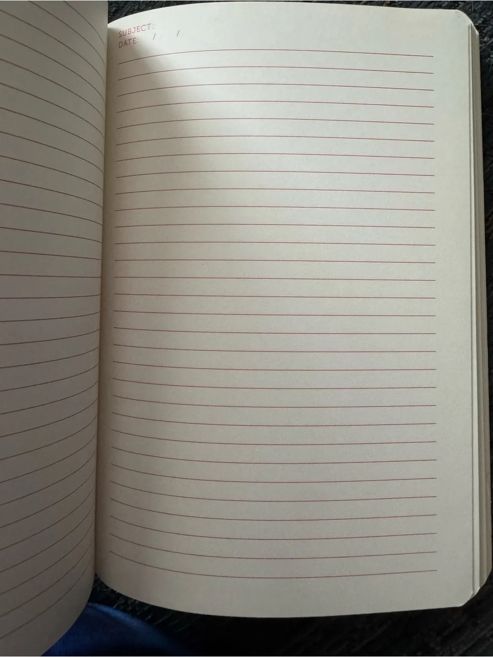 DesignWorks Ink Kraft Floral Notebook with Blue Spine and Red Accents